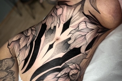 1B5CBDB8-F030-45C0-B50E-F18B928FCCD7