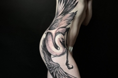 24CC156F-E5E1-4000-AEC4-5793878C2DDA