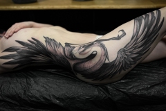 3B30BC91-1190-43C3-AF37-93ED2B05DEEB